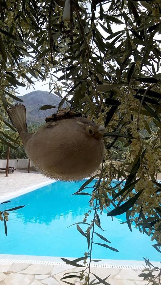 La Petite Planete Hotel Mykines Eksteriør billede